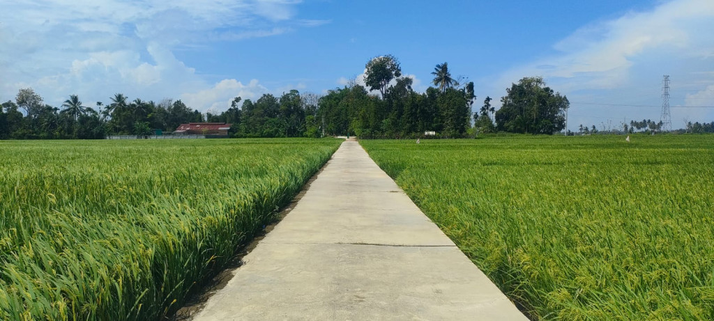 Jalan Usaha Tani, sebagai akses ke lahan Pertanian dan akses antar Gampong 